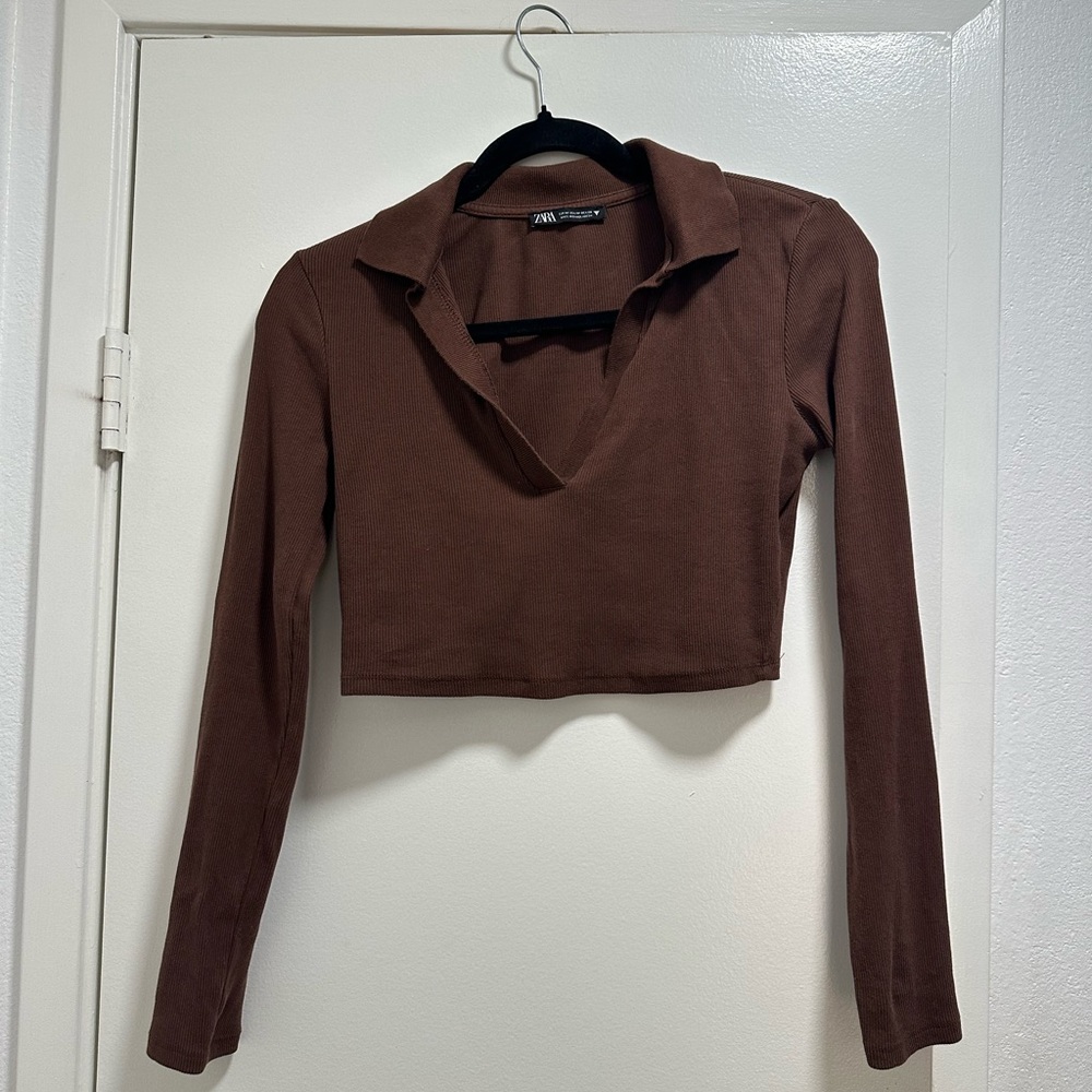 Zara Chocolate Brown Long Sleeve Crop Top